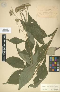 LE 01008660