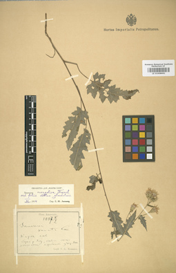 LE 01008661