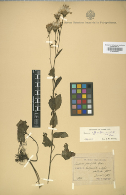LE 01008662