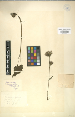 LE 01008663