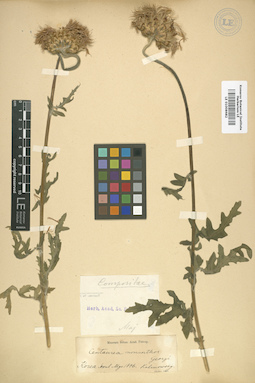 LE 01008682