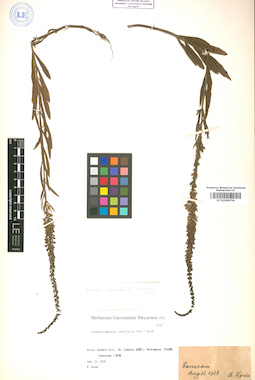 LE 01008704