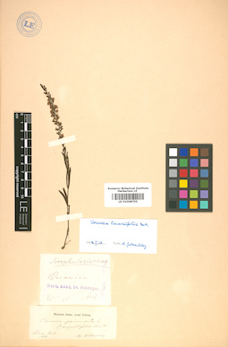 LE 01008705