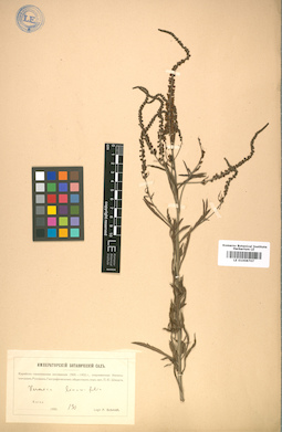 LE 01008707