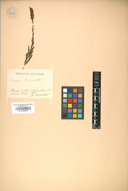 LE 01008708