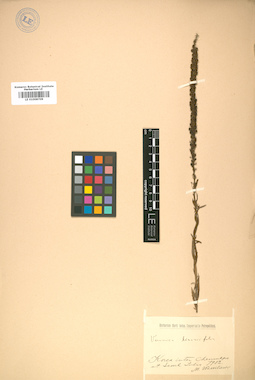 LE 01008709