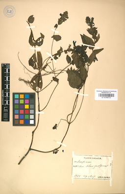LE 01008723