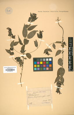 LE 01008725