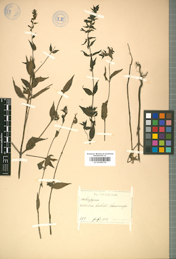 LE 01008726