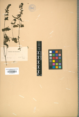 LE 01008727