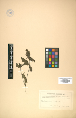 LE 01008728