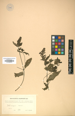 LE 01008730