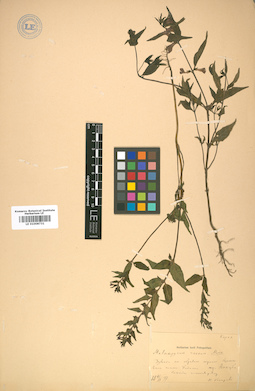 LE 01008731