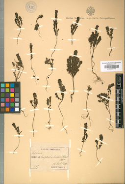 LE 01008740