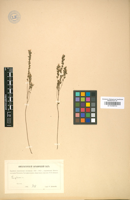 LE 01008741