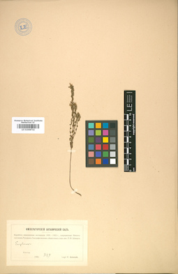 LE 01008742