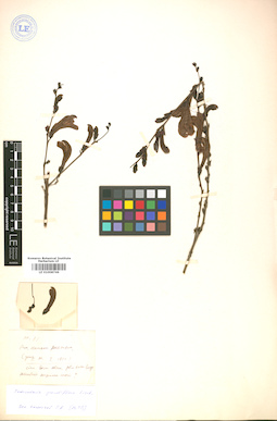 LE 01008746
