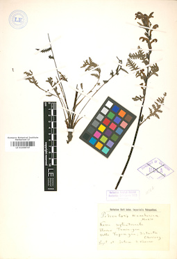 LE 01008747