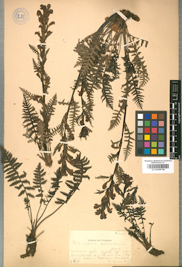 LE 01008748