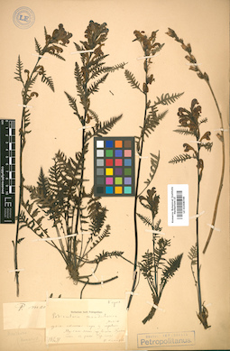 LE 01008749