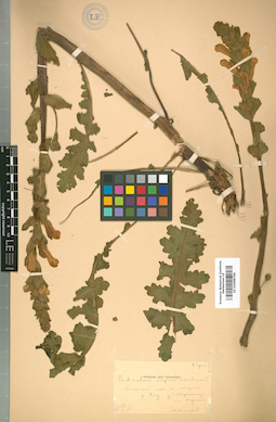 LE 01008764