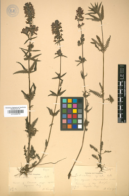 LE 01008765
