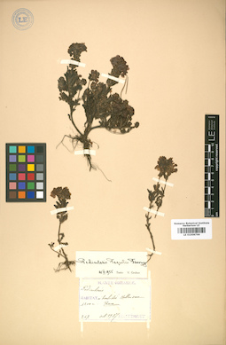 LE 01008766