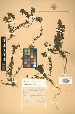 LE 01008767