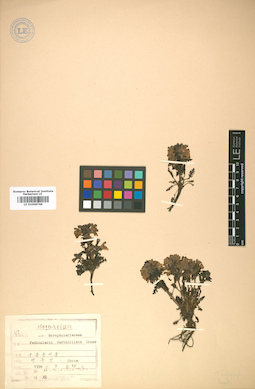 LE 01008768