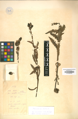 LE 01008769