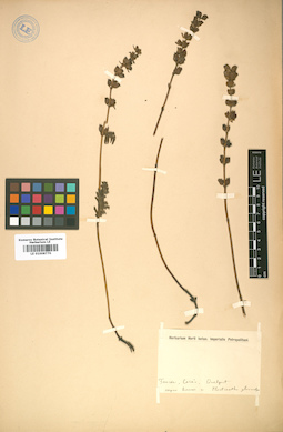 LE 01008770