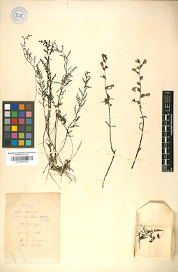LE 01008772