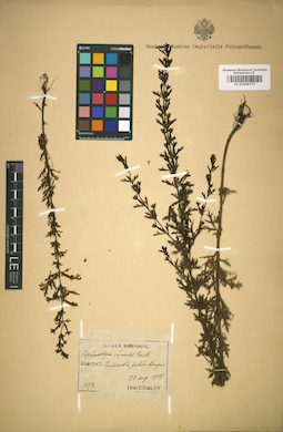 LE 01008773
