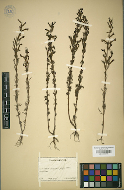 LE 01008775