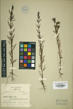 LE 01008776