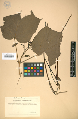 LE 01008778