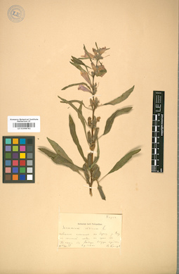 LE 01008782