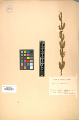 LE 01008785