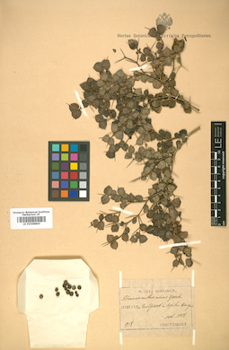 LE 01008800