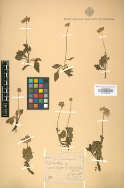 LE 01008822