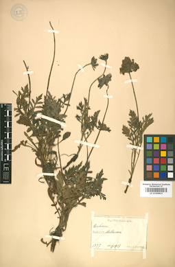 LE 01008823