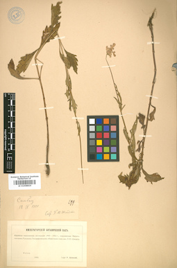 LE 01008826