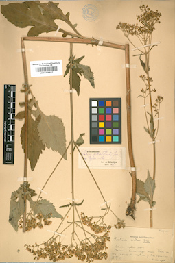 LE 01008827
