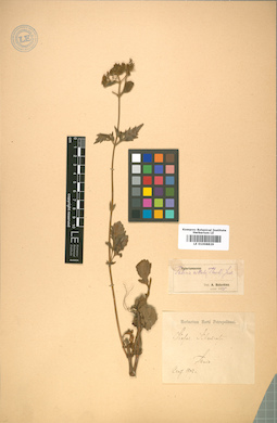 LE 01008829