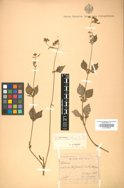 LE 01008830