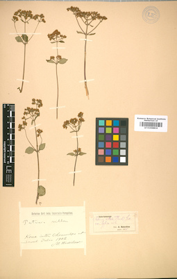 LE 01008834