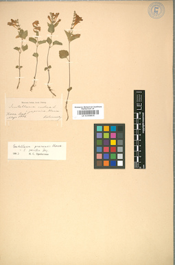 LE 01008835