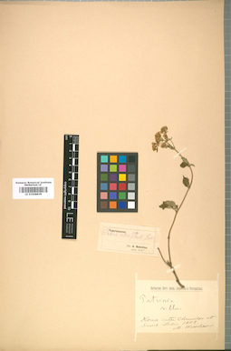 LE 01008839
