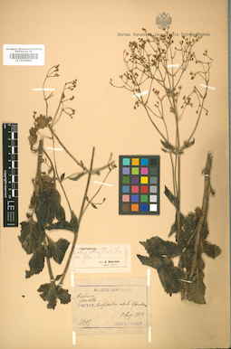 LE 01008841
