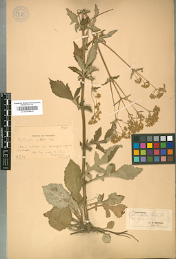 LE 01008843